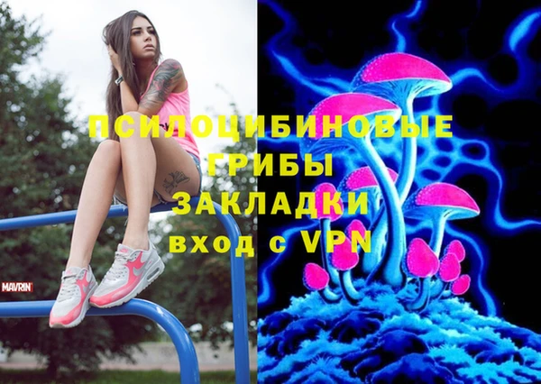 прущий лед Алексин