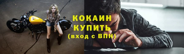 ПСИЛОЦИБИНОВЫЕ ГРИБЫ Корсаков