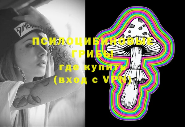 дурь Алексеевка