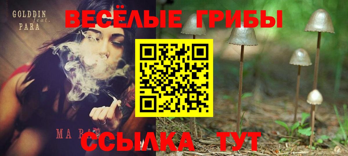 Псилоцибиновые грибы мухоморы Набережные Челны